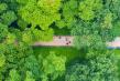 2017년 환경지킴이 사진공모전(일반 분야) 입선-자연과 사람이 공존하는 숲, 정철재 