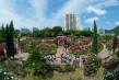 제13회 D-ECO 환경사진 공모전(일반 분야) 장려 - 도심속의 장미공원, 남기옥