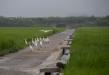 제16회 D-ECO 환경사진 공모전(일반 분야) 입선 - 비오는 날의 농가 소경(추대환)